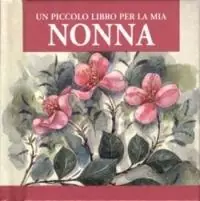 Bestel Nu Un piccolo libro per la mia nonna