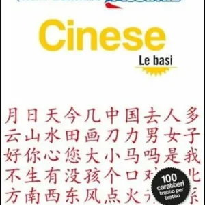 Bestel Nu Cinese. Quaderno di scrittura. Le basi