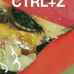 Fabrieksprijs Ctrl+z. Ediz. italiana e inglese