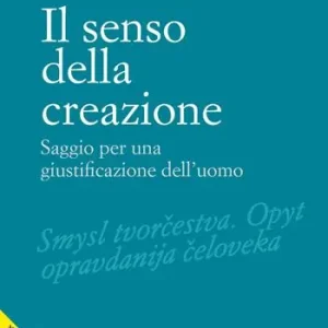 Bestel Nu Il senso della creazione. Saggio per una giustificazione dell‘uomo