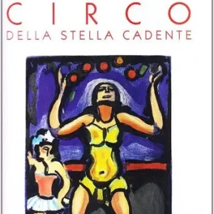 Circo della stella cadente. Ediz. illustrata Seizoensaanbieding