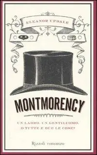 Betaalbaar Montmorency