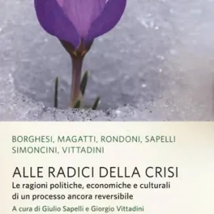 Alle radici della crisi. Le ragioni politiche, economiche e culturali di un processo ancora reversibile Finale Uitverkoop