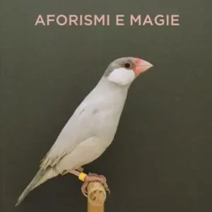 Aforismi e magie Dagaanbieding