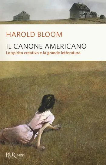 Il canone americano. Lo spirito creativo e la grande letteratura Goedkoop