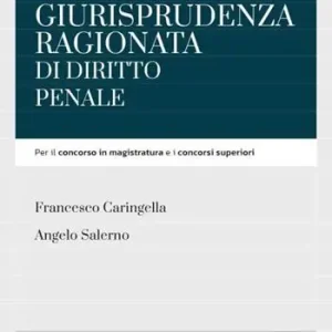 Dagaanbieding Giurisprudenza ragionata di diritto penale