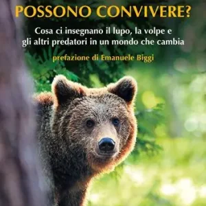 Beste Prijs L‘uomo e l‘orso possono convivere? Cosa ci insegnano il lupo, la volpe e gli altri predatori in un mondo che cambia