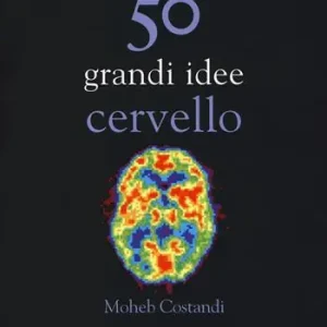 50 grandi idee. Cervello Rechtstreeks Van De Fabrikant