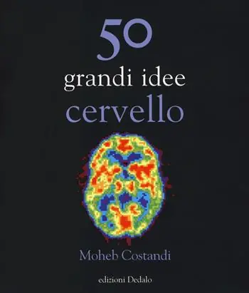 50 grandi idee. Cervello Rechtstreeks Van De Fabrikant