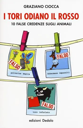 I tori odiano il rosso. 10 false credenze sugli animali Snelle Levering