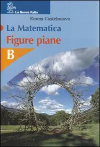 La matematica. Figure piane. Volume B. Per la Scuola media Lage Prijs