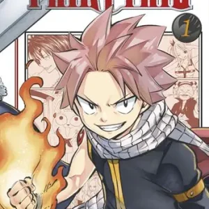 Betaalbaar Fairy Tail. Ediz. variant. Vol. 1