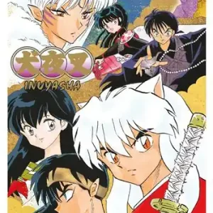 Inuyasha. Wide edition. Vol. 15 Lage Kosten