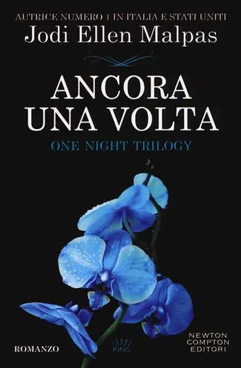 Ancora una volta. One night trilogy Weekendaanbieding