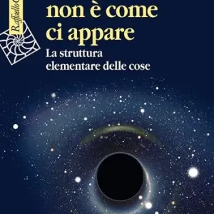 Alleen Vandaag La realtà non è come ci appare. La struttura elementare delle cose