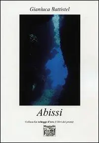Abissi Flitsaanbieding