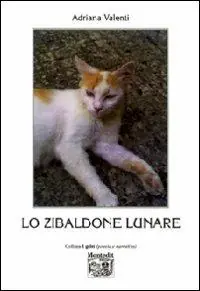 Goedkoop Lo zibaldone lunare