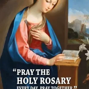 Laatste Versie Pray the holy rosary every day