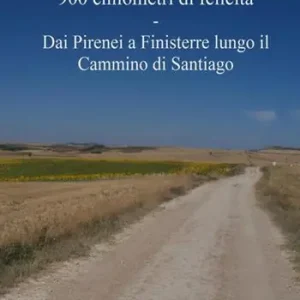 900 chilometri di felicità. Dai Pirenei a Finisterre lungo il cammino di Santiago Populair
