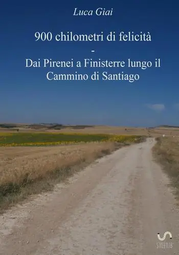 900 chilometri di felicità. Dai Pirenei a Finisterre lungo il cammino di Santiago Populair