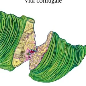 Vita coniugale Seizoensaanbieding