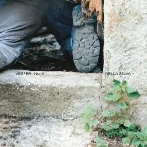 Vesper. Rivista di architettura, arti e teoria-Journal of architecture, arts & theory (2020). Vol. 3 Nella selva i wildness Beperkte Voorraad