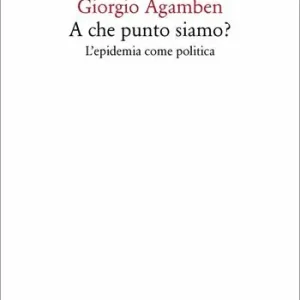 A che punto siamo? L‘epidemia come politica Betrouwbaar