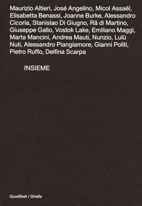 Insieme. Catalogo della mostra (Roma, 22 ottobre-30 novembre 2020). Ediz. a colori Dagaanbieding