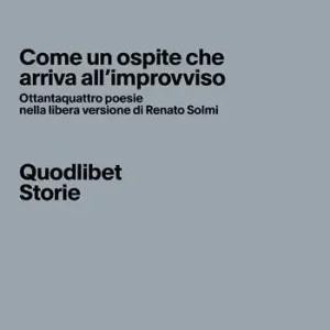 Come un ospite che arriva all‘improvviso. Ottantaquattro poesie nella libera versione di Renato Solmi. Ediz. critica Direct Beschikbaar