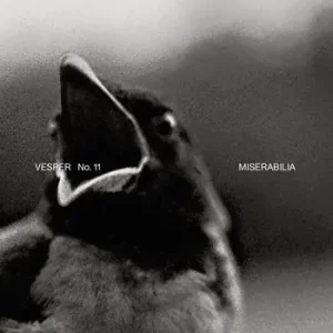 Vesper. Rivista di architettura, arti e teoria-Journal of architecture, arts & theory (2024). Ediz. bilingue. Vol. 11 Miserabilia Exclusieve Aanbieding