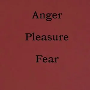 Gecertificeerd Linda Fregni Nagler. Anger/Pleasure/Fear. Ediz. italiana e inglese
