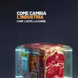 Come cambia l‘industria. I chip, l‘auto, la carne Tijdelijk Beschikbaar