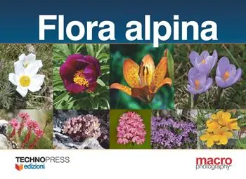 Flora alpina Koopje