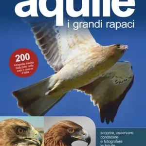 Aquile. I grandi rapaci Betaalbaar