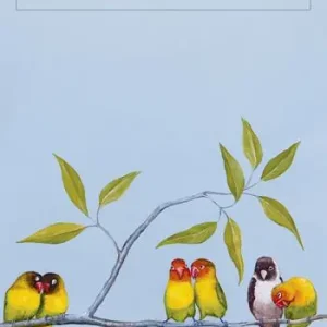 Il piccolo libro dell‘amore Laatste Versie