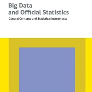Big data and official statistics. General concepts and statistical instruments Premium