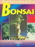 Bonsai Hoge Kwaliteit