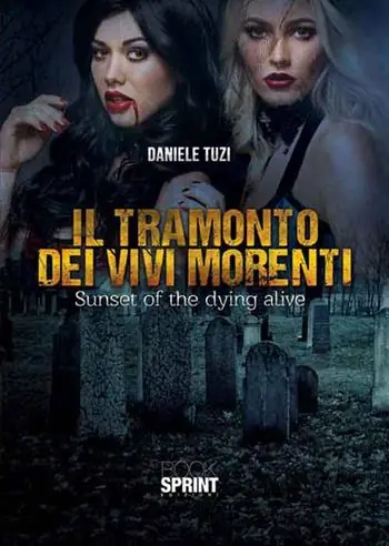Rechtstreeks Van De Fabrikant Il tramonto dei vivi morenti. Sunset of the dying alive