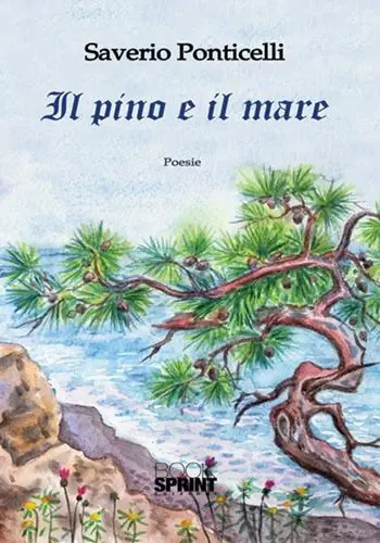 Gecertificeerd Il pino e il mare