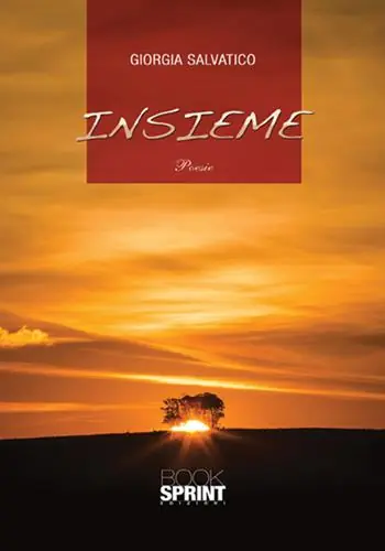 Insieme Nu Kopen