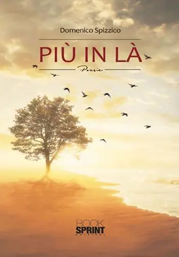 Nieuw Più in là