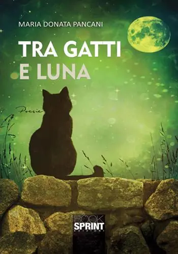 Tra gatti e luna Flitsaanbieding