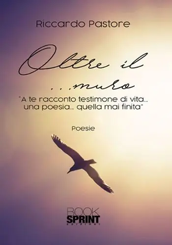 Oltre il... muro Snelle Levering