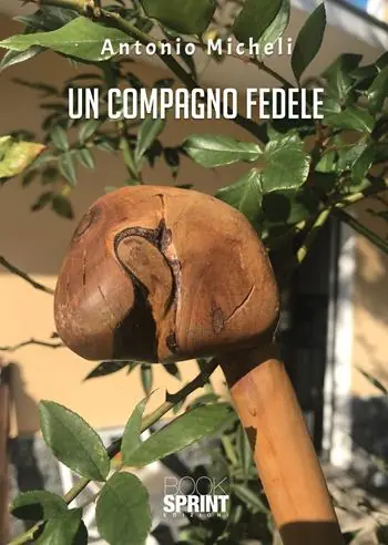 Beperkt Aanbod Un compagno fedele
